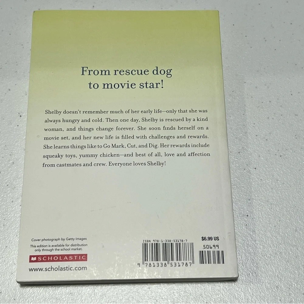 Scholastic new never